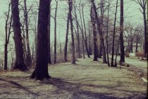 Top of route of future new beach road